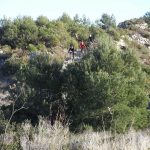 BTT Dénia - Vuelta al Montgó