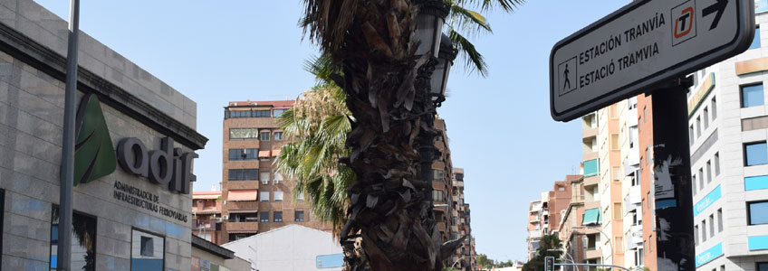 Enlace desde Adif Alicante con la estación de Luceros de TRAM d'Alacant